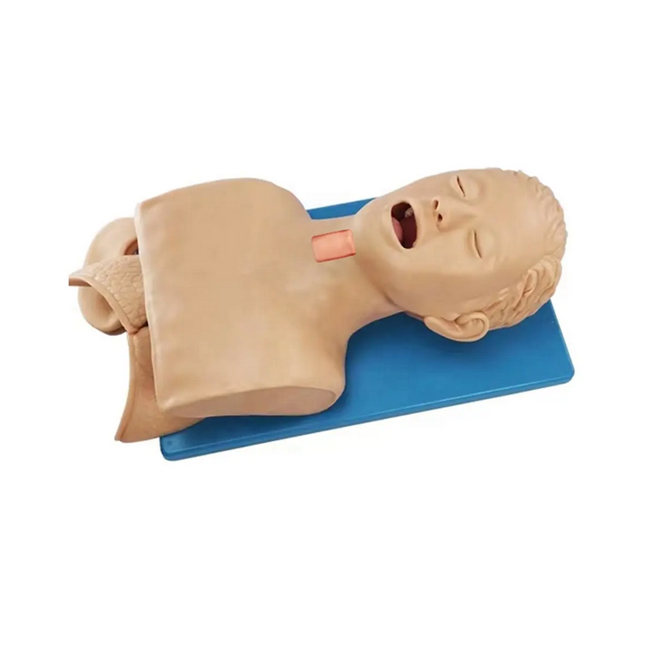 Multi-functional Airway Management Model