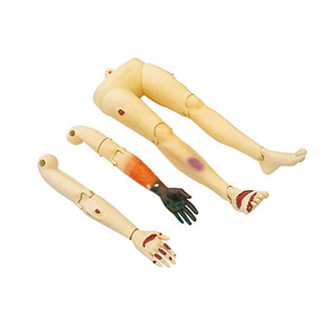 Trauma arms and legs model