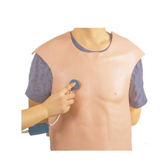 Cardiopulmonary Auscultation Simulator
