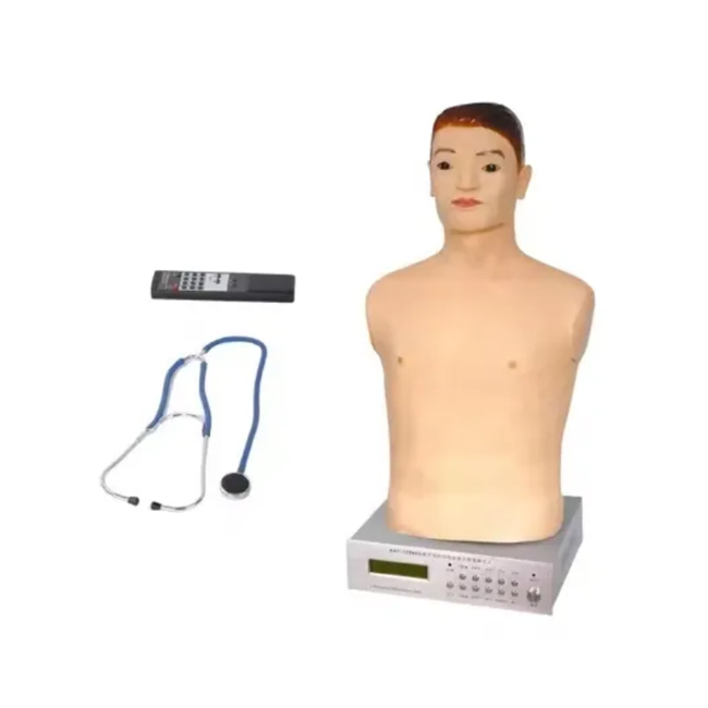 Cardiopulmonary Auscultation Practice Model