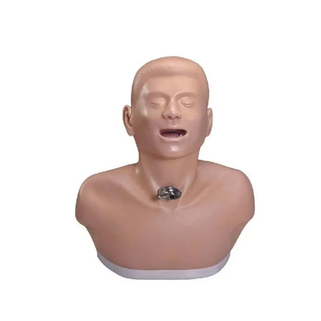 Adult tracheotomy nursing training model