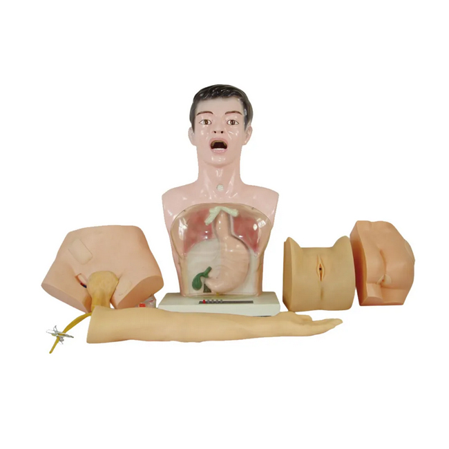Nurse Basic Practice Teaching Model