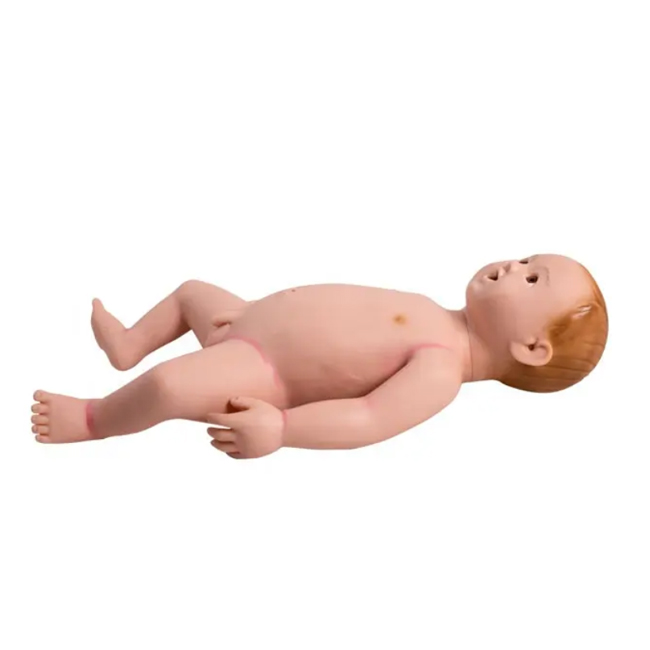 Full-functional Infant Nursing Model