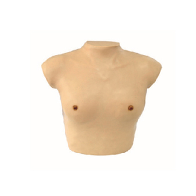 Female breast examination model